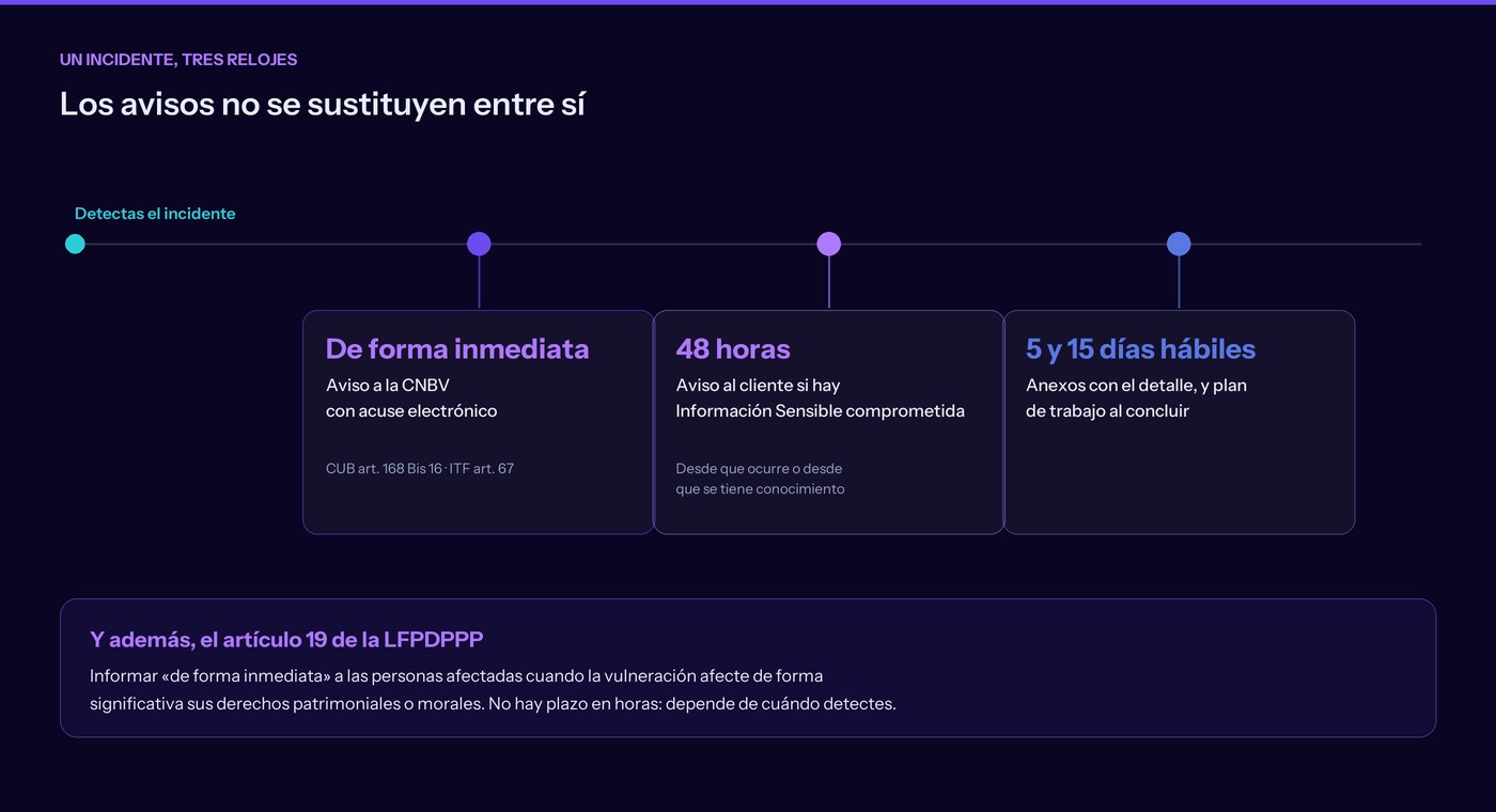Línea de tiempo de un incidente: aviso inmediato a la CNBV, 48 horas para avisar al cliente, 5 y 15 días hábiles para los anexos y el plan de trabajo, más el aviso inmediato al titular del artículo 19 de la LFPDPPP